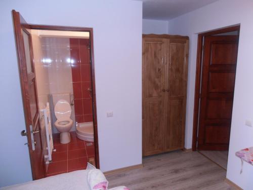 W łazience znajduje się toaleta i umywalka. w obiekcie Pensiunea Agroturistica Alexandra w mieście Smida