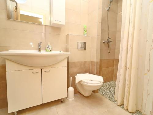 a bathroom with a sink and a toilet and a shower at Seaside Apartments Hrka - Standard One Bedroom Apartment with Terrace and Sea View 2 in Orebić
