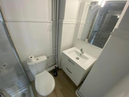 une salle de bain avec toilettes, lavabo et douche dans l'établissement Le mimosa T, à Amiens