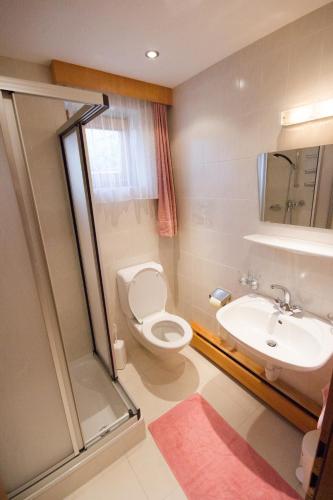 a bathroom with a toilet and a sink and a shower at Haus Prieth in Nauders