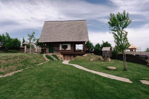 a house on a hill with a green yard at Echoes of Vlădicu in Cluj-Napoca