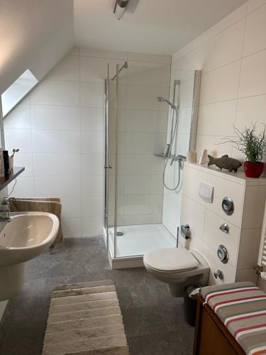 Un baño con ducha, inodoro y lavabo. en Sünnenkringel 68 Whg 5, en Zingst