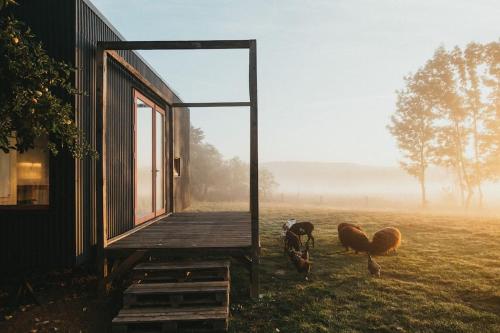 a house with a mirror and chickens in a field at Tiny house v ohradě in Čížkov