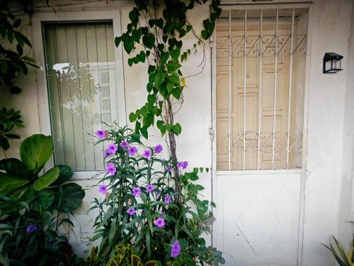 Un jardín fuera de Cuc Cu Nest