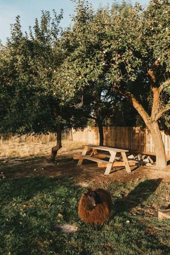 a picnic table under a tree next to a fence at Tiny house v ohradě in Čížkov