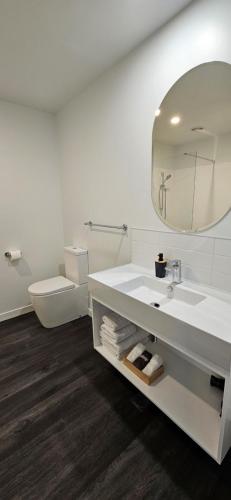 a bathroom with a sink and a toilet and a mirror at Alps Motel & Apartments in Twizel
