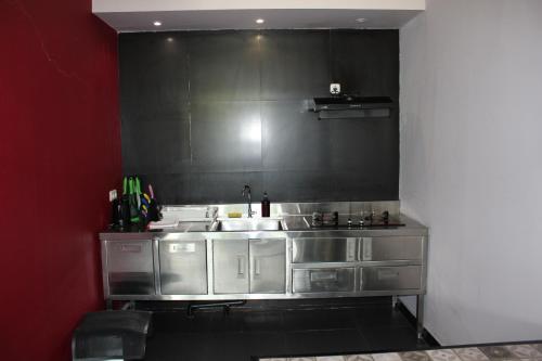 a kitchen with stainless steel appliances and a red wall at Hillside Lovina in Lovina