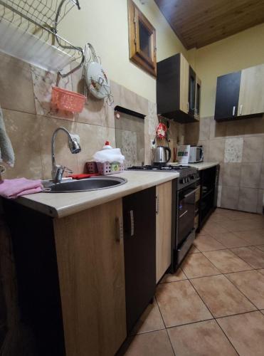 a kitchen with a sink and a stove at Guest House Mandrivnyi Rooms&Apartments in Yasinya