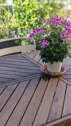 a pot of flowers sitting on top of a wooden table at Chambre Voltaire ou Chambre Beckett, terrasse en bord de Sorgue in Le Thor