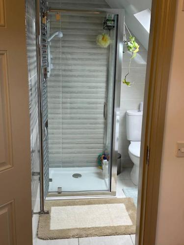 a bathroom with a shower and a toilet with a glass door at Home in Gorgeous Gort in Gort