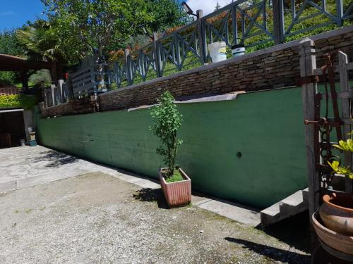a plant in a pot next to a green fence at CASA DEL CANTA in Borgomale