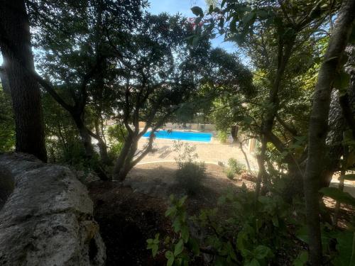 Una vista de una piscina a través de los árboles. en La bergerie Emma, en Éoures