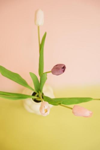a close up of a flower in a vase at 寅ホテル 御徒町 TORA HOTEL Okachimachi in Tokyo