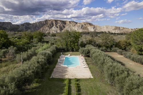 an overhead view of a swimming pool in a vineyard at Agriturismo B&B La Sterpina in SantʼArcangelo