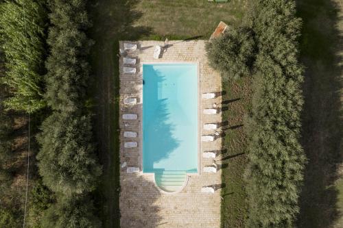 Bazén v ubytování Agriturismo B&B La Sterpina nebo v jeho okolí