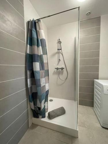 une douche avec une porte vitrée dans une salle de bain dans l'établissement Appartement Spacieux - Béziers - 4p - Centre - Clim, à Béziers