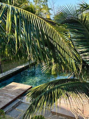 a palm tree next to a swimming pool at Luxury Apartment on the Beach in Belle Mare