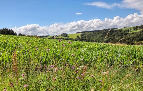 Un paisaje natural cerca de la casa vacacional