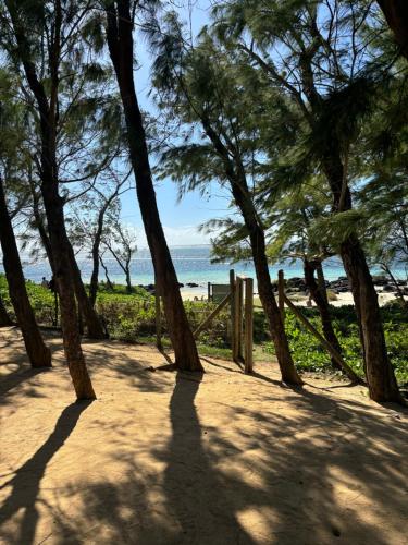 a path with trees and the beach in the background at Luxury Apartment on the Beach in Belle Mare