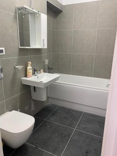 a bathroom with a sink and a toilet and a tub at Apartament satina in Craiova