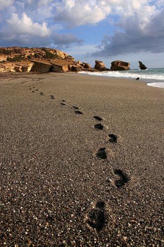 a group of footprints in the sand on a beach at Elisabeth Apartment in Akoumia