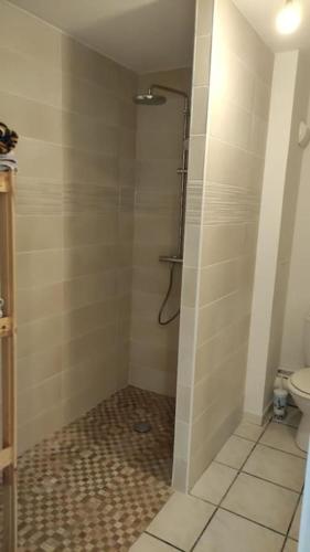 a bathroom with a shower with a sink and a toilet at Appartement de 51 m2 avec jardin de 51 m2, parking privé in Achères