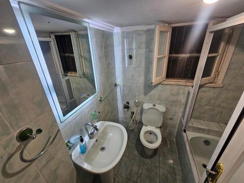 アレクサンドリアにあるDowntown simple apartment - families onlyのトイレと洗面台のある小さなバスルーム