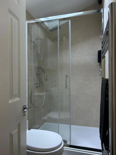 a bathroom with a glass shower with a toilet at The Little Lodge House in Ayot Saint Peter