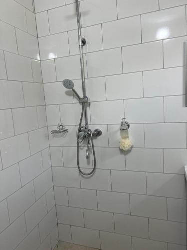 Bilik mandi di L'Ami hostel