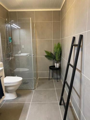 a bathroom with a toilet and a shower and a plant at Oppgradert leilighet i Tråstølen in Skulestadmo