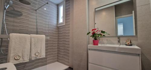 a bathroom with a shower and a sink and a mirror at Apartamentos Arenal in Jerez de la Frontera