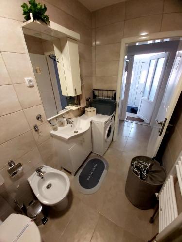 a bathroom with a white toilet and a sink at Tiha Voda 1 in Požarevac