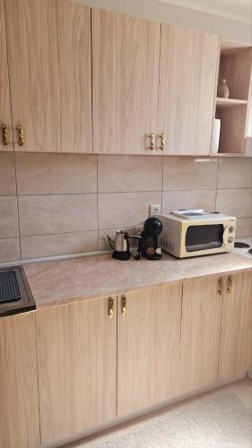 a kitchen counter with a microwave on top of it at Tiha Voda 1 in Požarevac