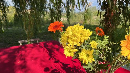 une table avec un bouquet de fleurs sur elle dans l'établissement Havre de paix en Provence, à Jonquières