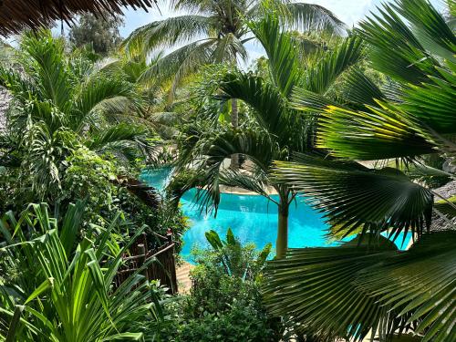 a blue swimming pool with palm trees in the foreground at Maisha Nungwi - Boutique Hotel in Nungwi