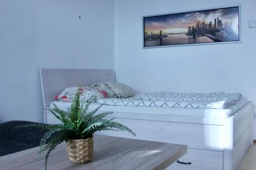 Cozy one bedroom apartment in Vienna