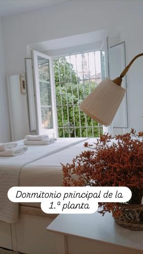 Apartamentos en la Plaza Doña Elvira, 7