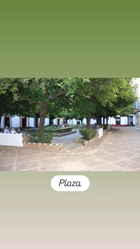 Apartamentos en la Plaza Doña Elvira, 7