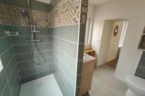 une salle de bain avec douche et toilettes dans l'établissement Les pivoines au calme 15min du zoo, à Meusnes