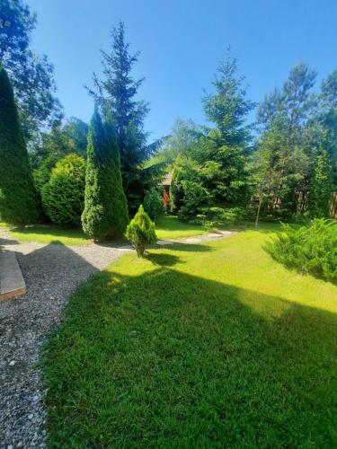 a garden with a tree in the middle of the grass at Colt de rai in Bran