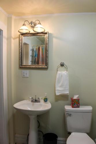 a bathroom with a sink and a mirror and a toilet at Newly Renovated Historic 6-BR Manor plus 1-BR Apt, Where Timeless Elegance Meets Modern Luxury in Onancock