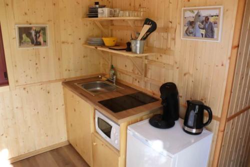 une petite cuisine avec un évier et une cuisinière dans l'établissement Roulottes cocooning au coeur des Landes, à Mées
