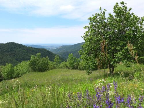 Φυσικό τοπίο κοντά σε αυτή η παραθεριστική κατοικία