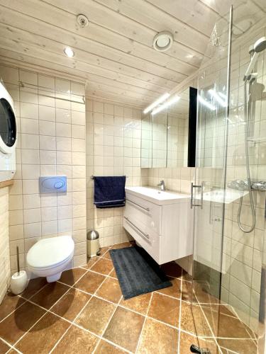 a bathroom with a toilet and a sink and a shower at Cozy Ski-In Ski-Out Apartment on Geilo, Stunning Views! in Geilo