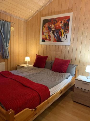 a bedroom with a large bed with red pillows at Gepflegtes-Ferienhaus-am-Dankernsee-Haren-Emsland in Haren