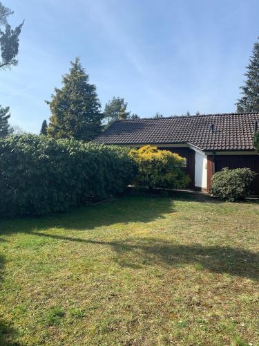 a house with a large yard next to a hedge at Gepflegtes-Ferienhaus-am-Dankernsee-Haren-Emsland in Haren