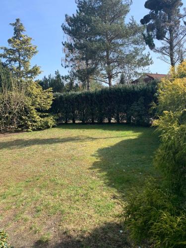 a large yard with trees and grass at Gepflegtes-Ferienhaus-am-Dankernsee-Haren-Emsland in Haren