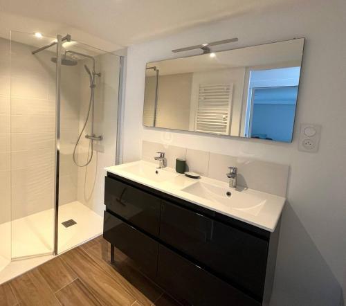 une salle de bain avec un lavabo et une douche avec un miroir dans l'établissement La Foliotte - Appartement Jacuzzi, à Jullouville