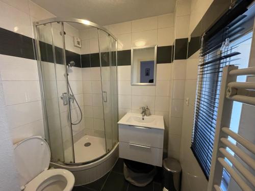 une salle de bain avec une douche, des toilettes et un lavabo dans l'établissement Magnifique studio proche Cathédrale, à Strasbourg
