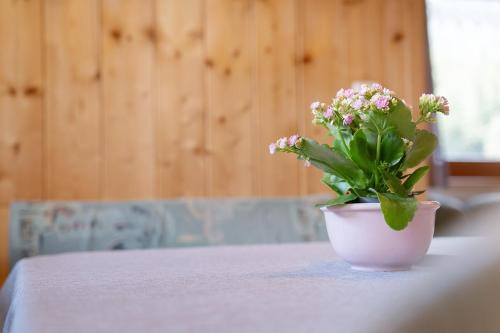 a potted plant sitting on top of a table at Appartement Egart 2 in Resia